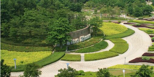 东莞大屏嶂森林公园